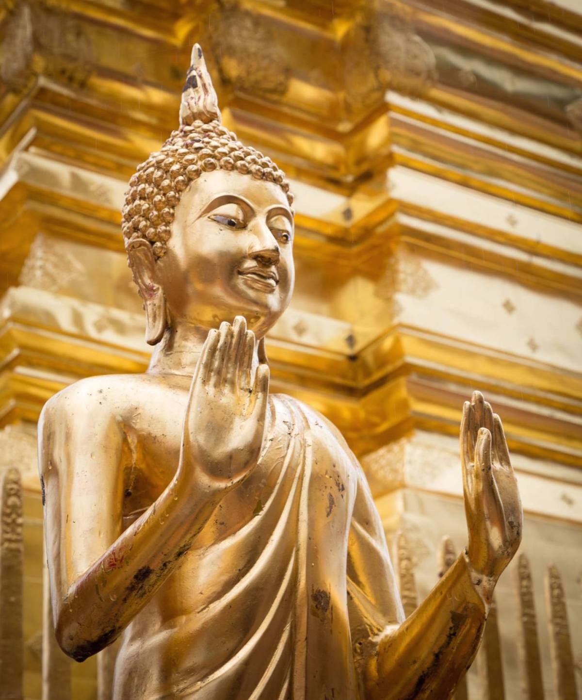 11265449_1622229414731191_4925105538086864970_o