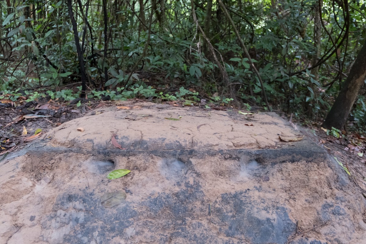 201607 Vietnam489.jpg