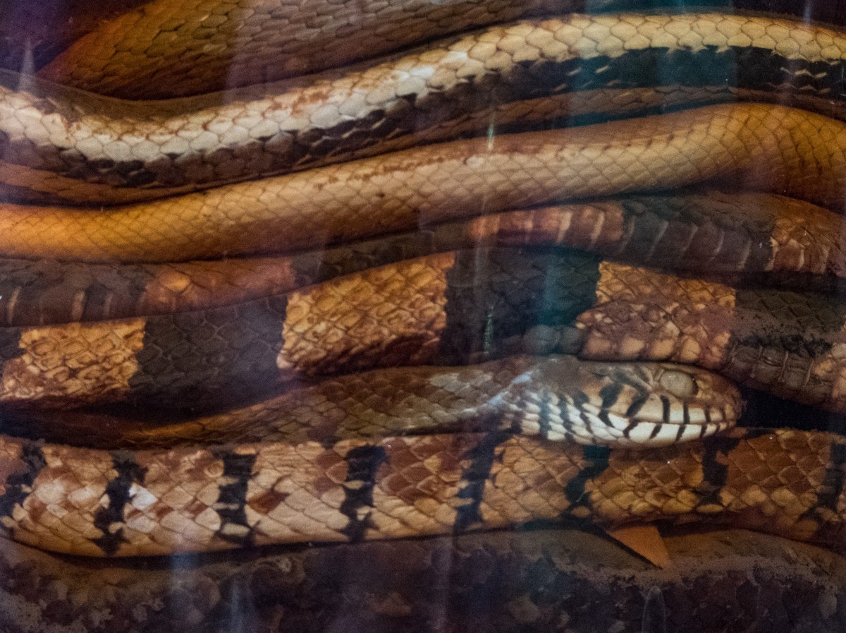 201607 Vietnam534.jpg