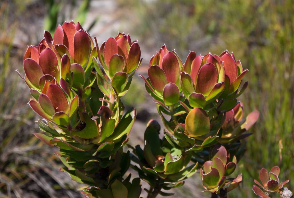 17349877_10209369807586390_9087275777084163482_o