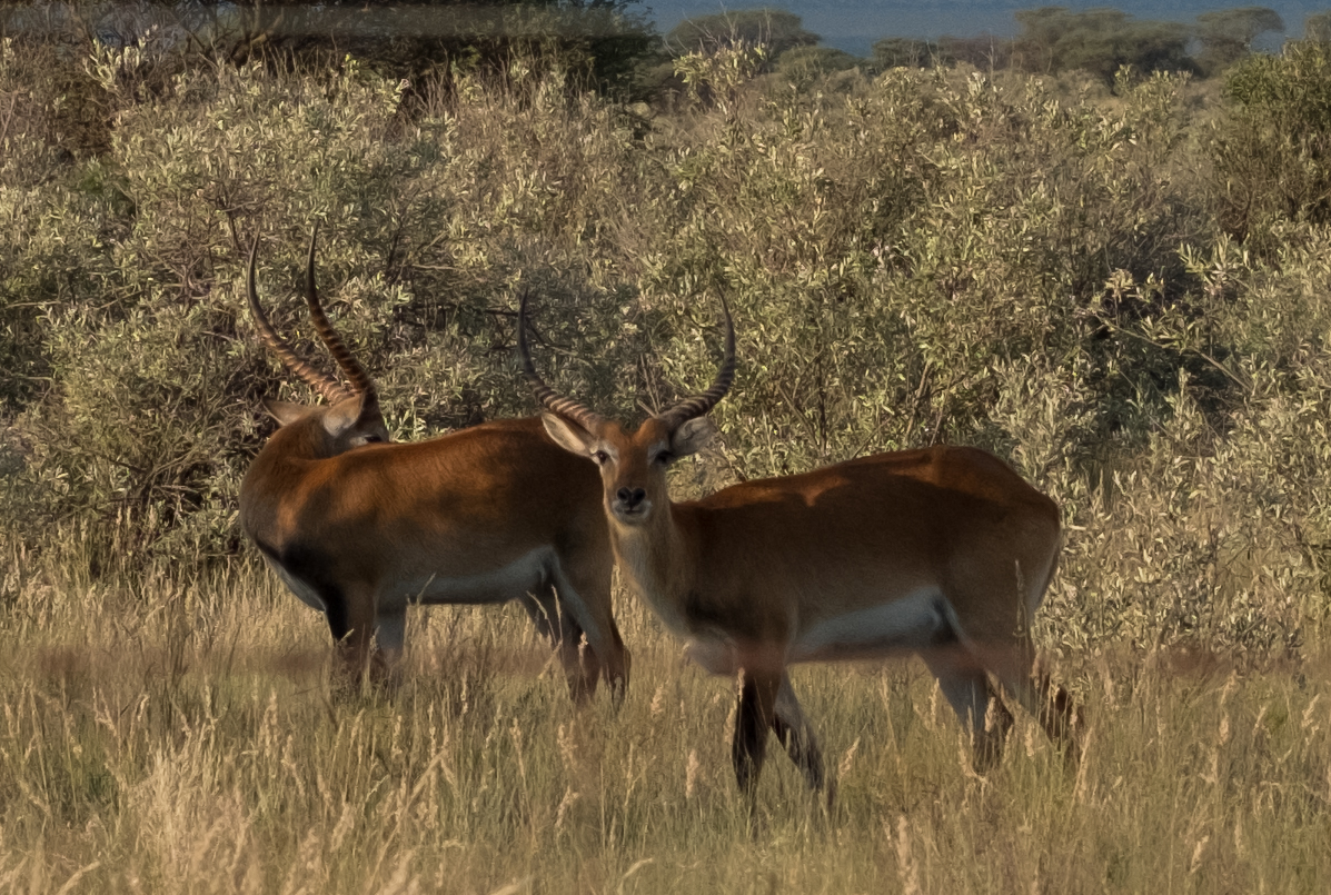 DouglasRiepko Krijthe026.jpg