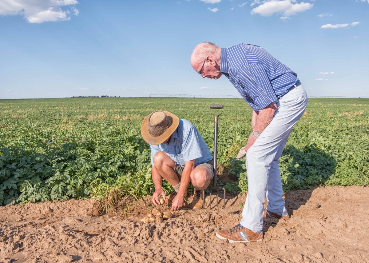 DouglasRiepko Krijthe178.jpg