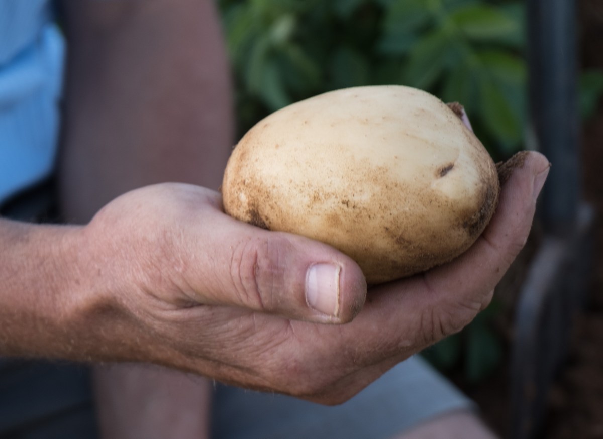 DouglasRiepko Krijthe204.jpg