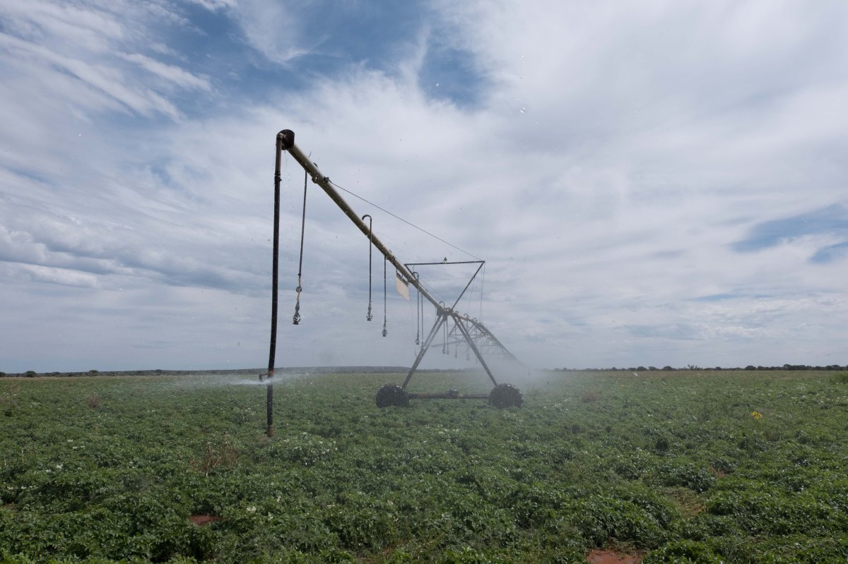 DouglasRiepko Krijthe300.jpg