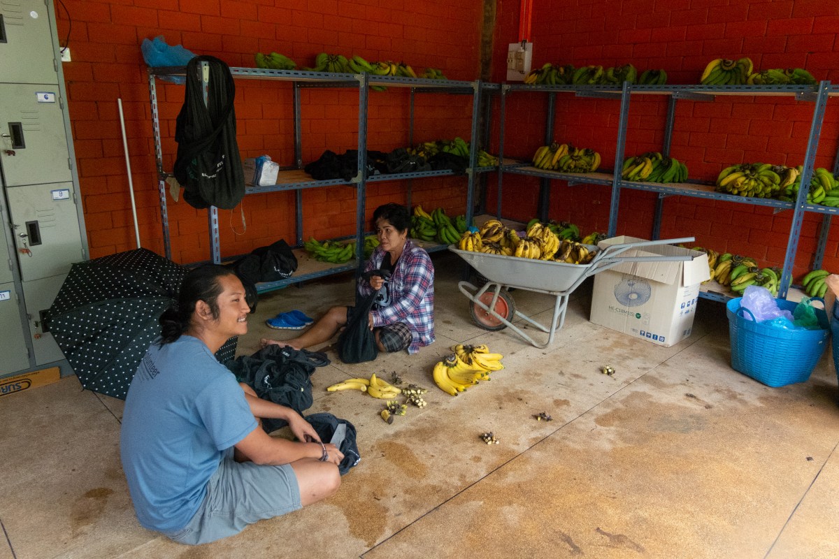 Riepko.Krijthe1-17 2.jpg