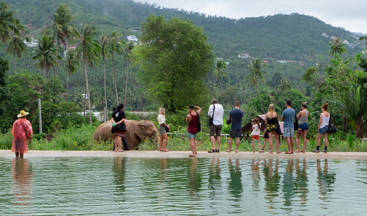 Riepko.Krijthe1-9 3.jpg