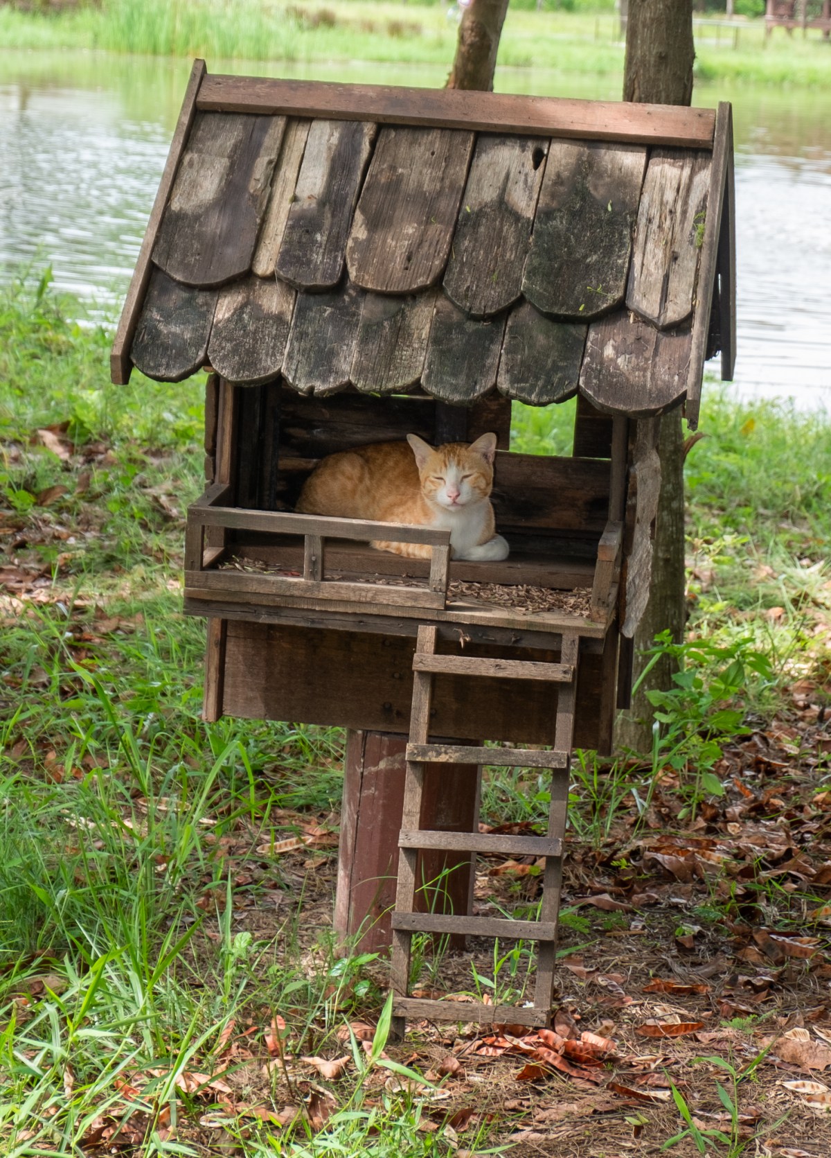 IKDSCF3229176232018050220180421 Monique Madeleine17920180502 12.11.20.JPG