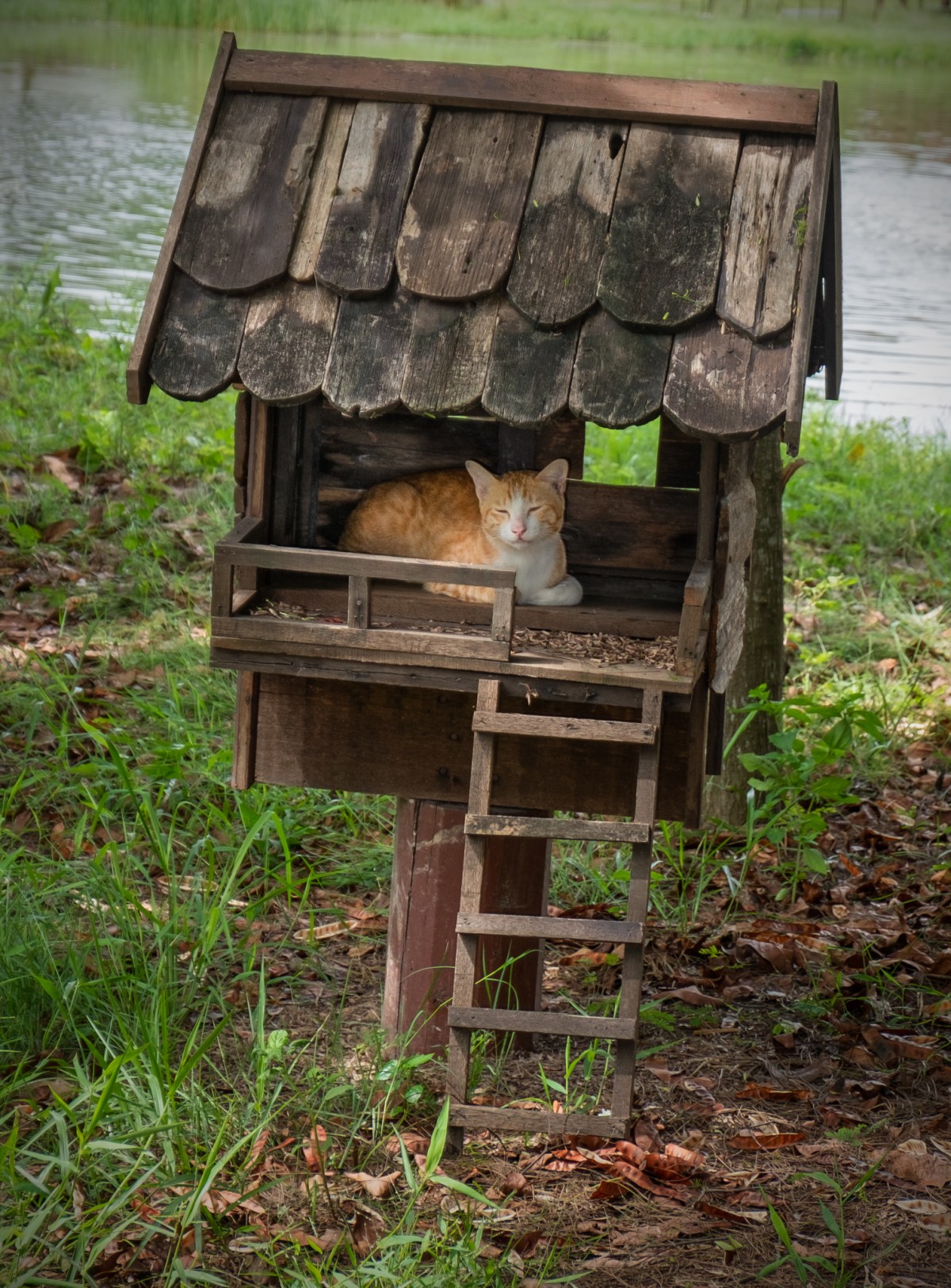 IKDSCF3229176232018050220180421 Monique Madeleine17920180502-bewerkt.JPG