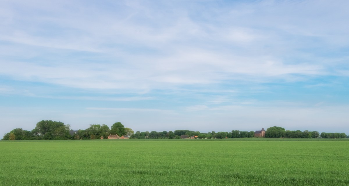 Riepko.Krijthe1-20 12.34.05.jpg