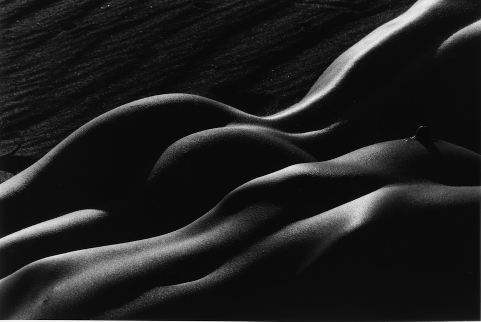 2 naakten in de woestijn 1997