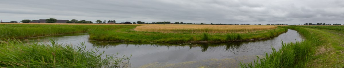 201907 "Ommetje Garsthuizen"Riepko Krijthe113.jpg