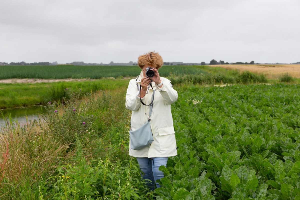 201907 "Ommetje Garsthuizen"Riepko Krijthe131-Edit.jpg