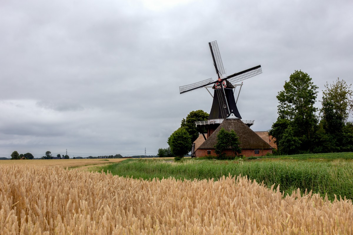 201907 "Ommetje Garsthuizen"Riepko Krijthe8-Edit.jpg