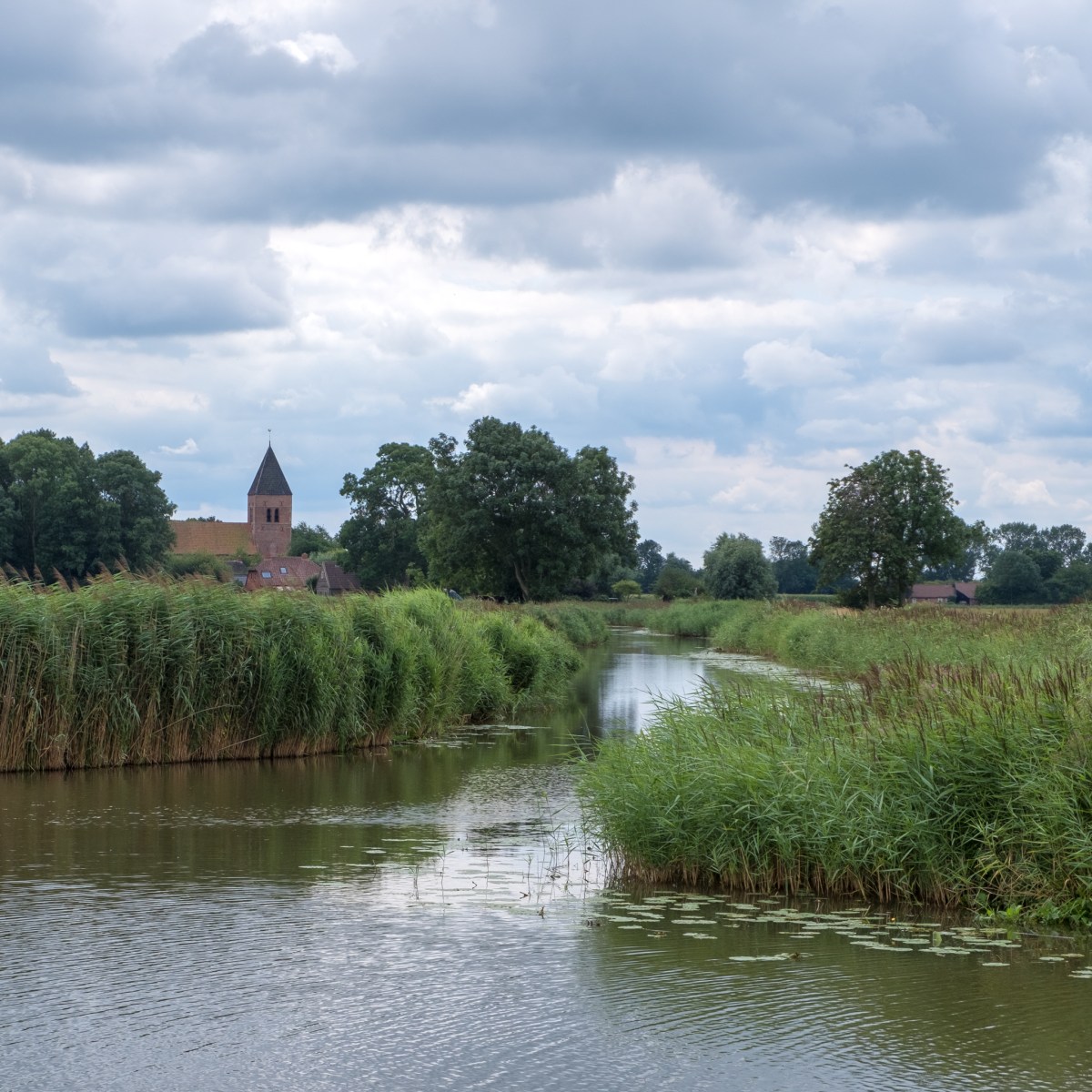 201908 Ommetje MiddelstumRiepko Krijthe43-Edit.JPG