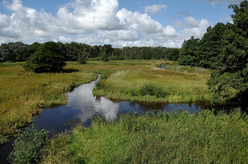 large-2792-Drentse_Aa_Gasterse_diep_HvK