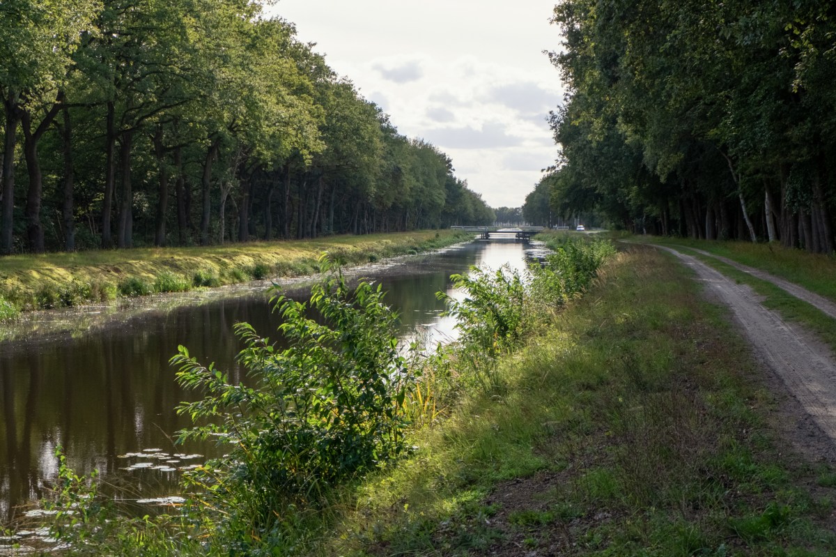 201909 SellingenRiepko Krijthe33-bewerkt