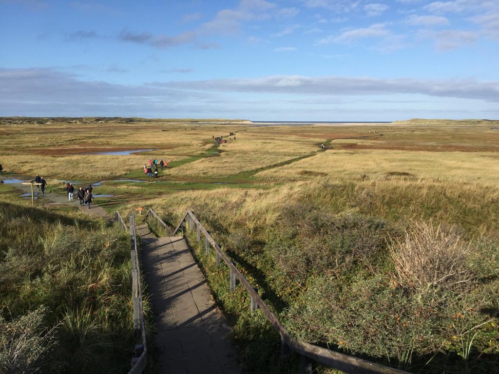 2da7c1fc-d2e1-4438-a399-41e7b06087b5