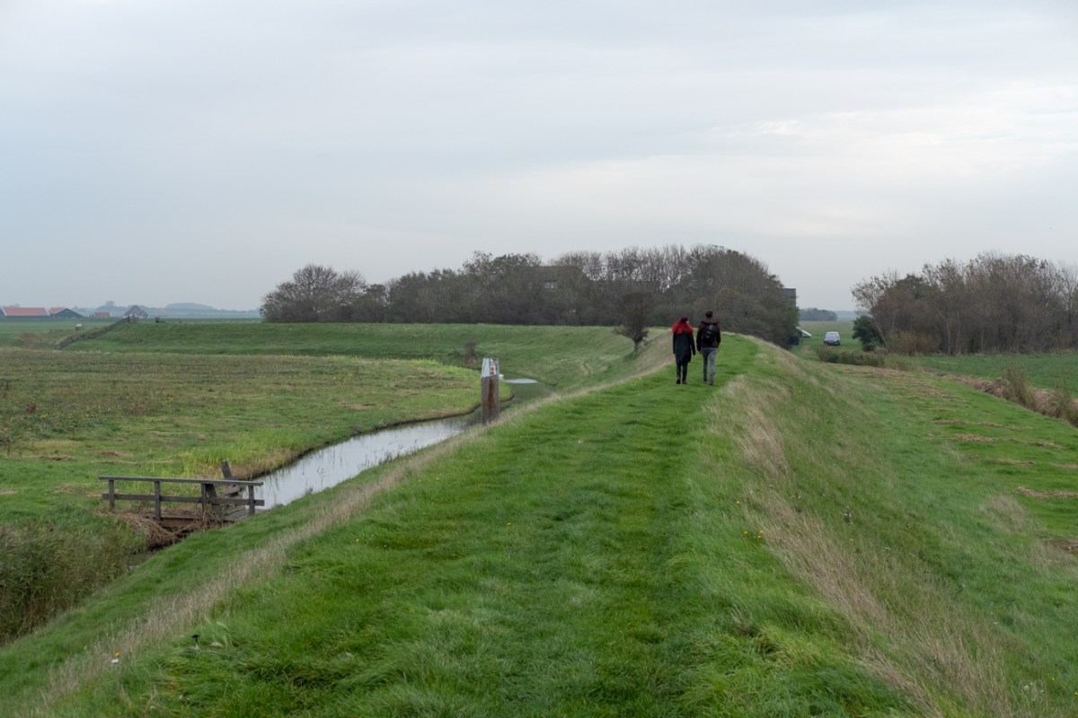 Riepko.Krijthe1-7 11.54.26.jpg