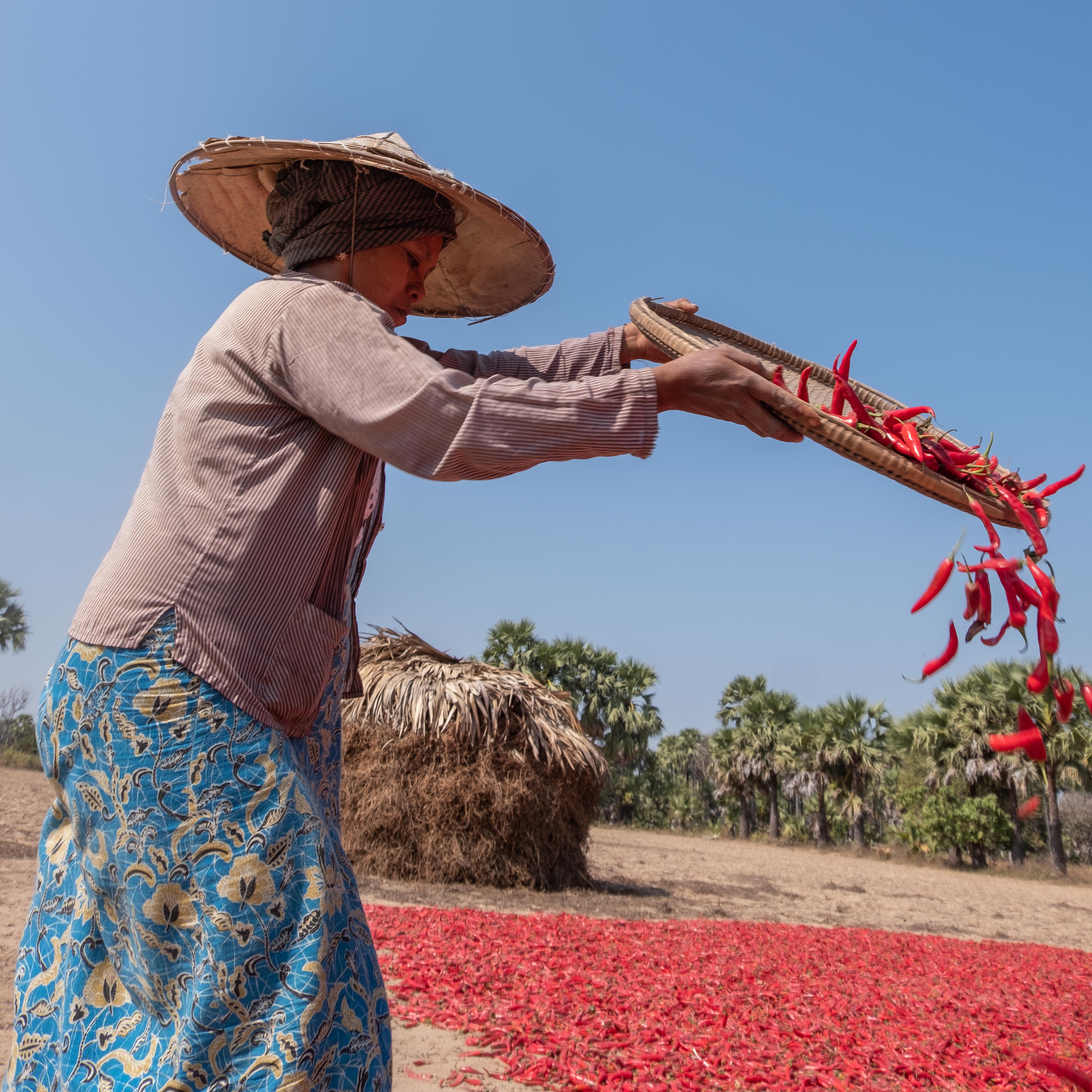 Riepko Krijthe-2 20.19.23.jpg